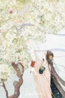 Thám Hoa Lang Vẫn Cần Cố Gắng